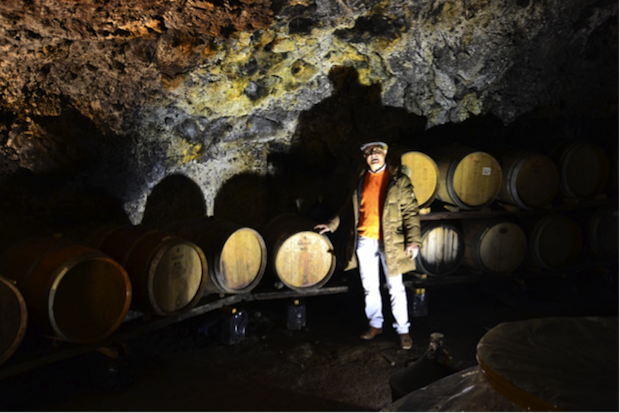 I vini etnei della distilleria Giovi