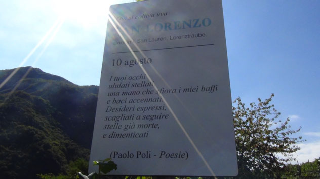 Poesia nei vigneti trentini