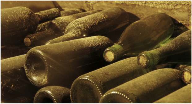 I vini della Moravia