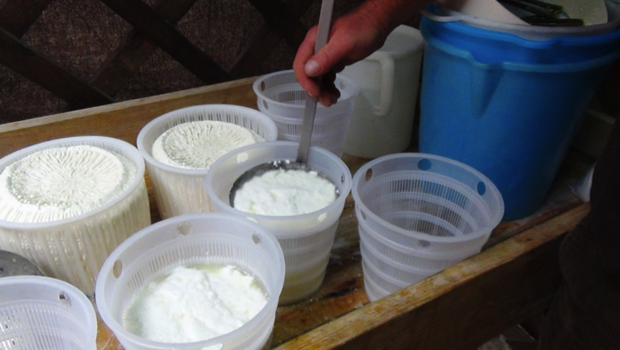 Come si fa la ricotta? La video-ricetta