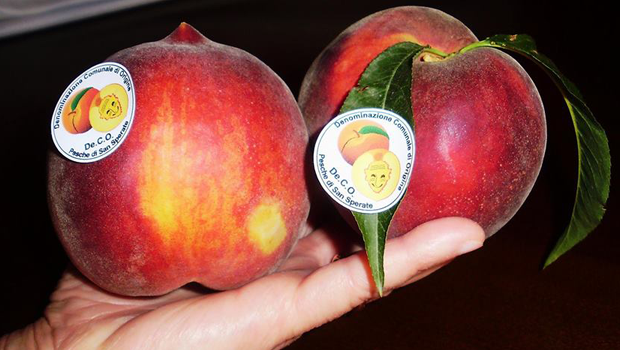 Pesche di San Sperate De.Co. (Sardegna)