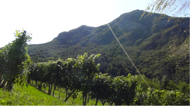 Specialmente a… Trento e dintorni: dove mangiare e cosa bere