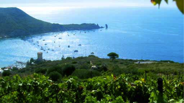 I vini delle isole minori