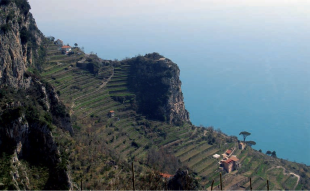 I vini “estremi” italiani