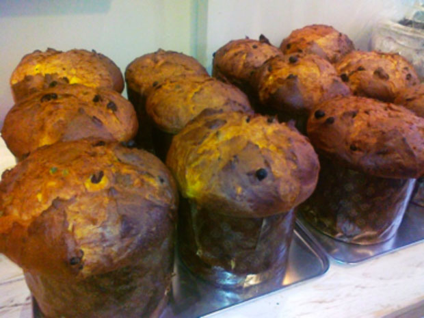 Altre forme di panettone: dalla Bisciola alla Veneziana