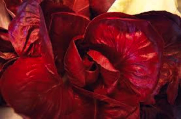 Radicchio Rosa, De.Co. di Gorizia