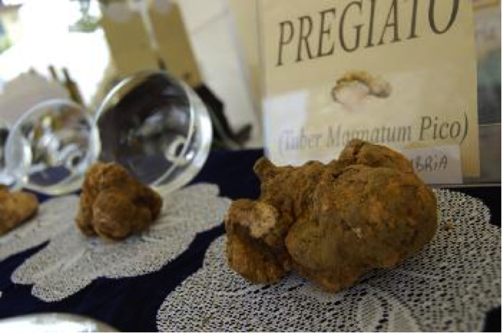 Tartufo e Patata Bianca di Pietralunga, De.Co. dell’Umbria