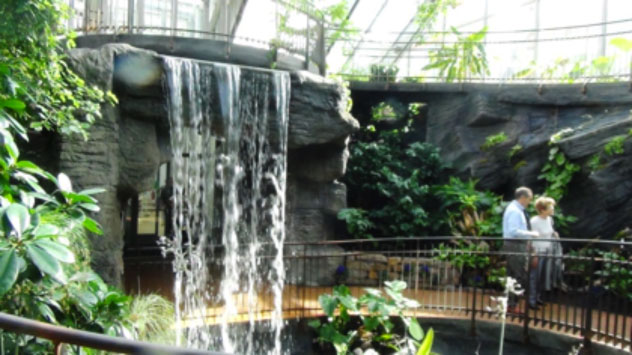 Una foresta tropicale dentro un museo… al MUSE di Trento