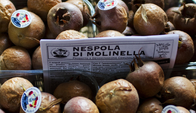La Nespola di Molinella, De.Co. dell’Emilia Romagna