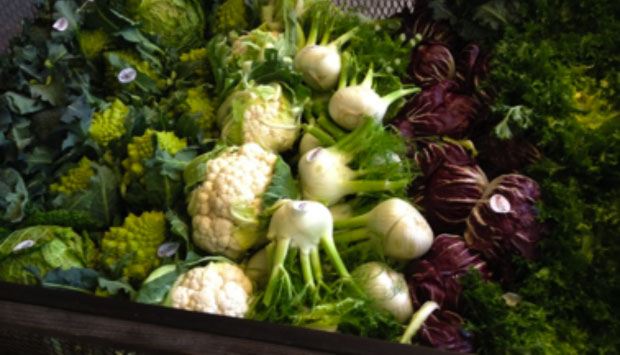 Da Napoli Est, Eccellenze Campane: quando le idee vengono dal Sud
