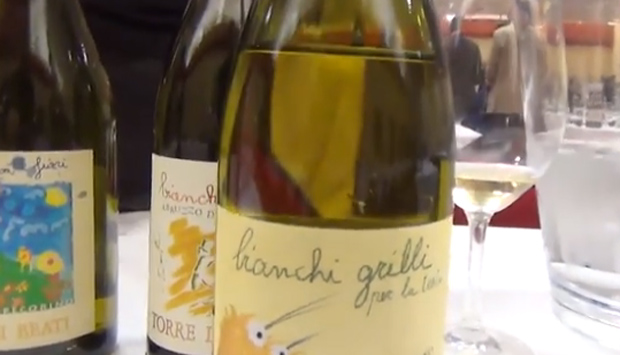 Il Trebbiano d’Abruzzo: la versione di Torre dei Beati di Loreto Aprutino (Pescara)