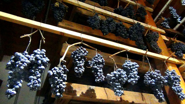 NO al vino che sa di legno, SI al vero vino della Valpolicella