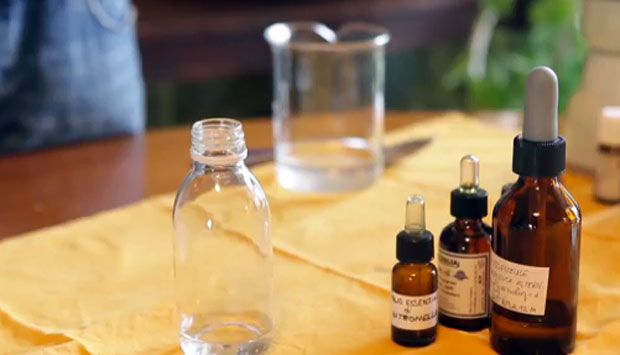 Come si fa in casa l’antizanzare naturale