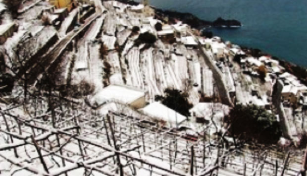 Fiorduva, vino eroico campano dagli antichi autoctoni di Furore