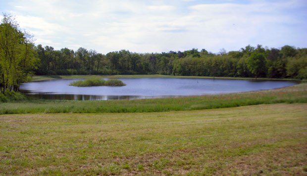 La Lagozza di Besnate (Varese), natura e archeologia
