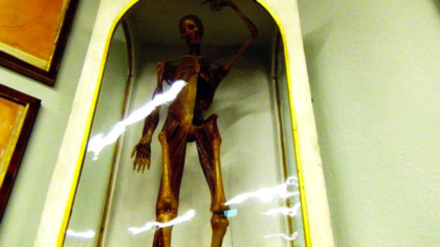 Gusto del macabro e scienza medica nelle cere della Specola a Firenze