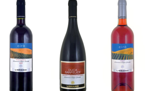 Il Gaglioppo di Cirò, simbolo millenario della Calabria del vino