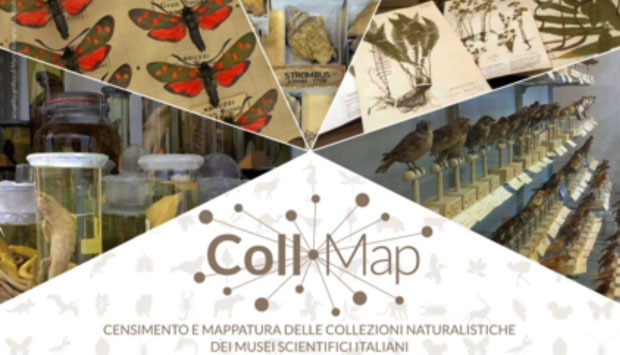 I musei scientifici: cosa sono e perché visitarli