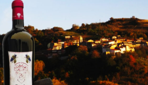 Tintilia, raro e prezioso vitigno del Molise