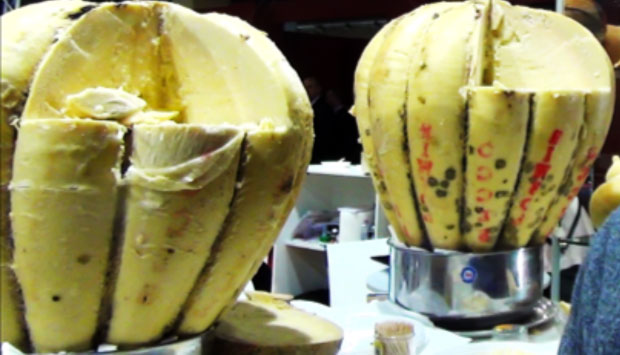 Il Provolone di Enzo Recco