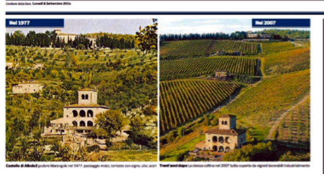 Scontro tra Regione Toscana e produttori di vino sul Paesaggio: troppi filari e poca anima