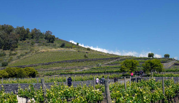 La grande avventura della Cantina Benanti: il racconto diretto