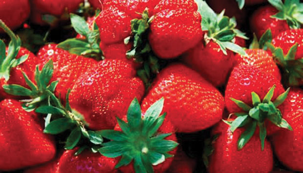 La Fragola di Marsala De.Co.