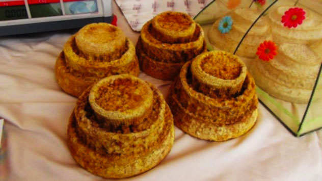 Mercato della Terra di Milano, atti agricoli alla Fabbrica del Vapore