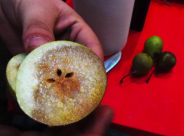 Pero Misso della Lessinia, Presidio Slow Food del Veneto