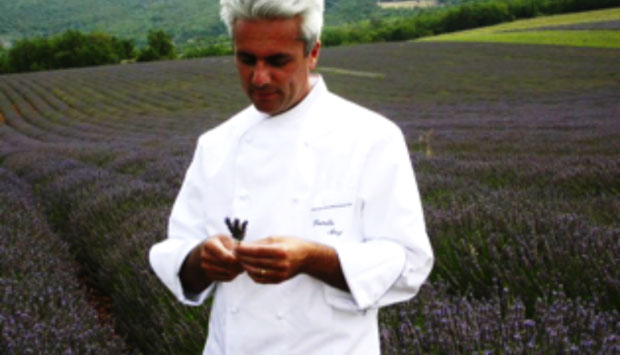 Ricetta di stracotto di ganascino al barbera con i cipollotti