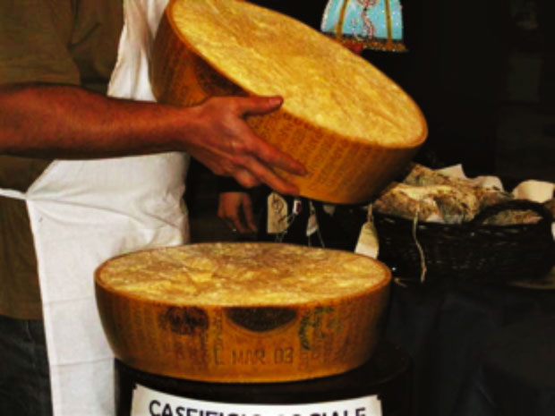 Vacca Bianca Modenese, Presidio Slow Food dell’Emilia Romagna