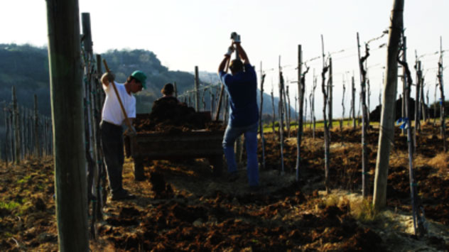 Italo Maffei, per cantine alla ricerca del vero gusto del vino