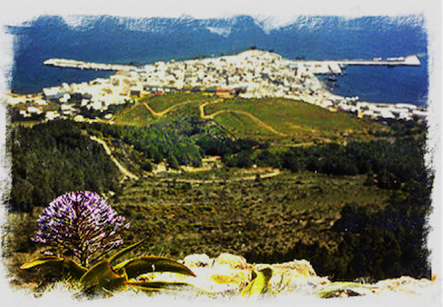 L’apicoltura nelle isole siciliane