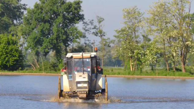 Cascina Scanna, ritorno al riso alle porte di Milano