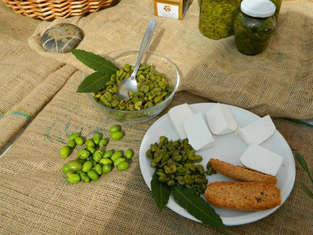 Oliva salella ammaccata del Cilento, Presidio Slow Food della Campania