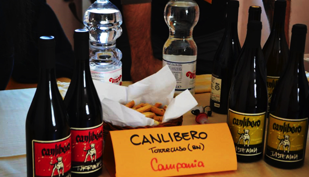 Canlibero, vini naturali del beneventano