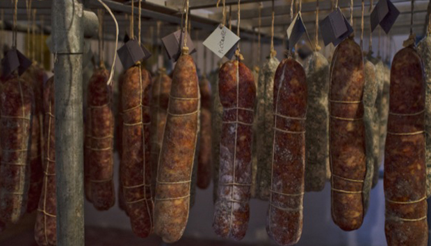 Tradizione ed Eclettismo: i salumi dell’Azienda Agricola Malintesa