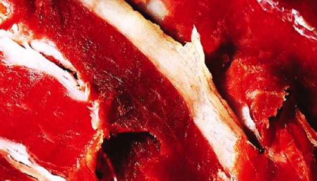 Prosciutto del Casentino, Presidio Slow Food della Toscana