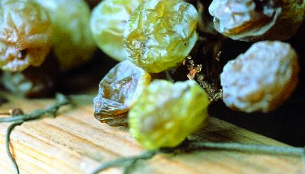 Vinosanto affumicato dell’Alta Valle del Tevere, Presidio Slow Food