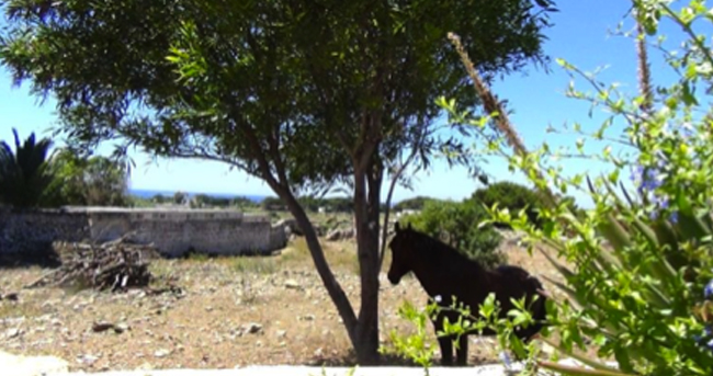 Favignana in bassa stagione? Fuori dal comune…