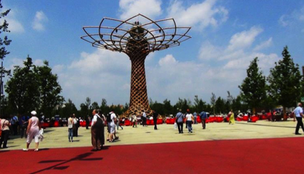 Gli spettacoli di luci e acqua dell’Albero della Vita, simbolo di Expo