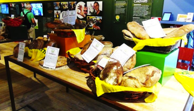 Volete conoscere le varietà di pane in Italia? Ci pensa Coldiretti