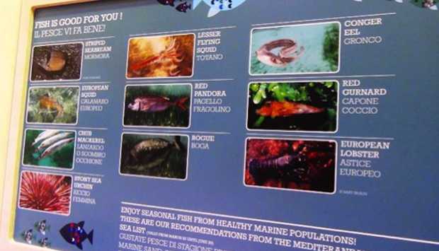 Montecarlo a Expo, meduse vive per il principe dell’Ambiente