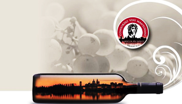 I vini mantovani: le cantine dei Colli Morenici