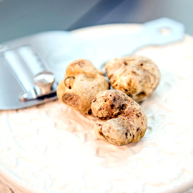 Tutti a Alba per la Fiera Internazionale del Tartufo Bianco