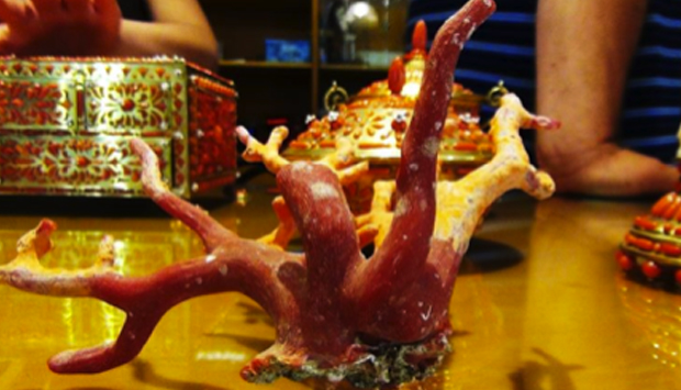 L’arte del corallo a Trapani