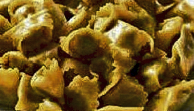 I ravioli poveri del plin in Langa, le voci della memoria in cascina