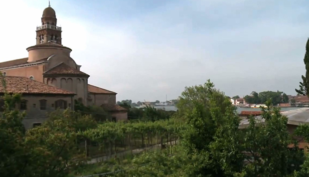 “Laguna nel bicchiere”, le vigne ritrovate a Venezia
