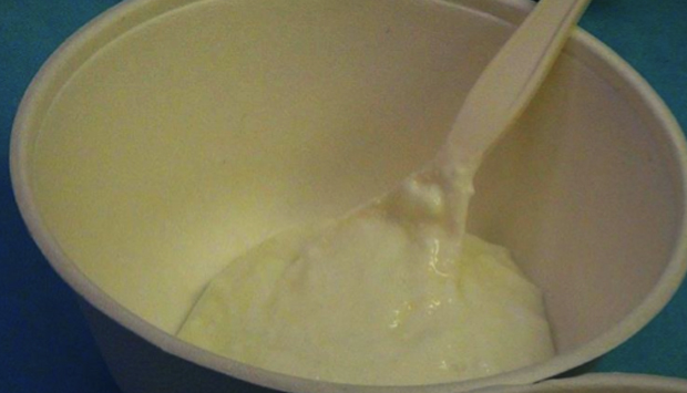 Skyr tradizionale islandese, formaggio presidio Slow Food