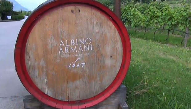 Albino Armani, dagli archeovini indigeni al biodinamico